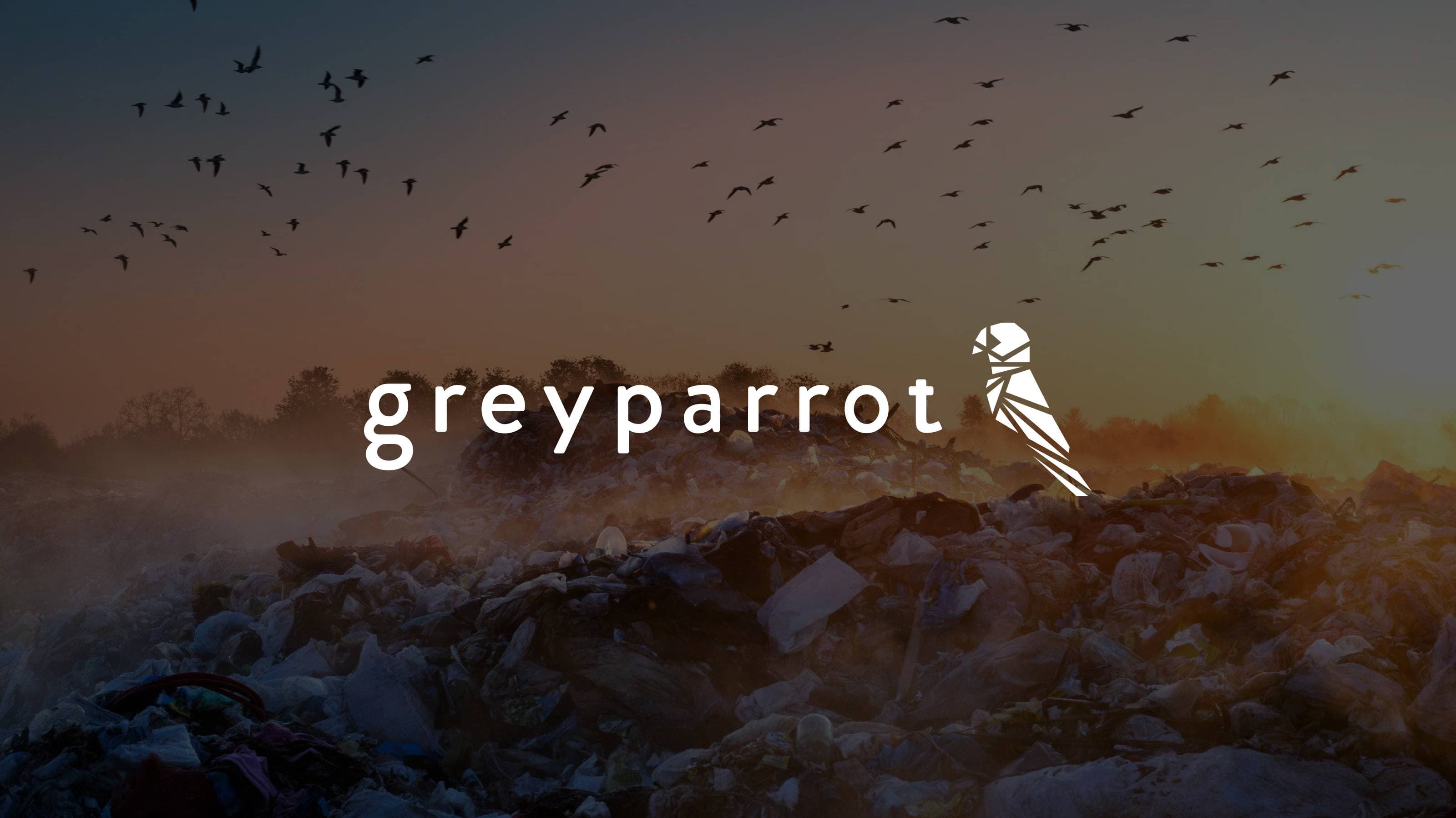 Greyparrot Analyzer